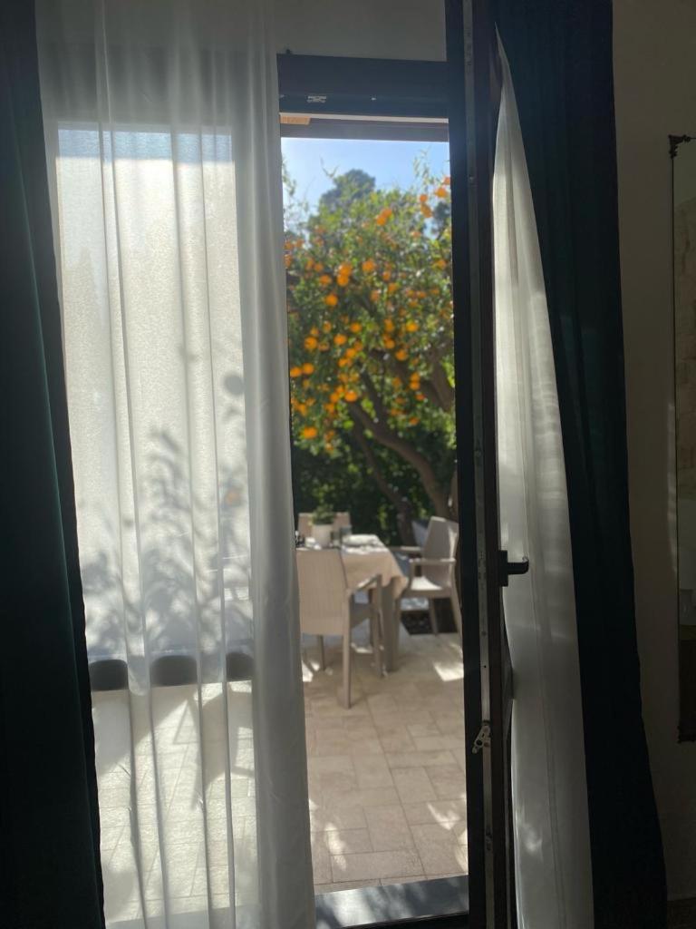 Casa Vacanza Il Mandarino Viagrande Kültér fotó