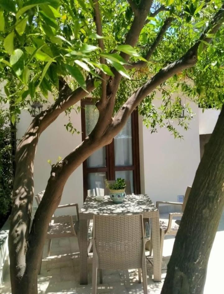 Casa Vacanza Il Mandarino Viagrande Kültér fotó